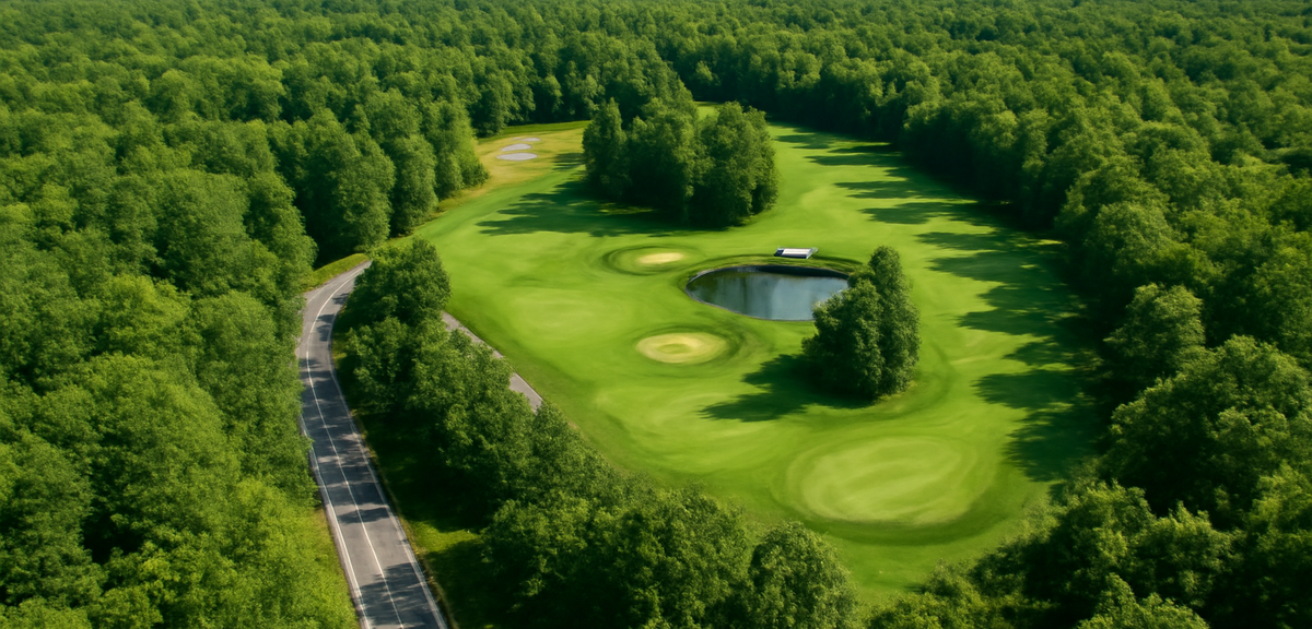 Aerial view of a green golf course surrounded by forest with a road leading to it, photorealistic, n